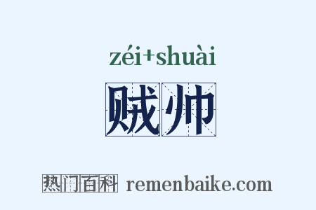 贼帅是什么意思的图片